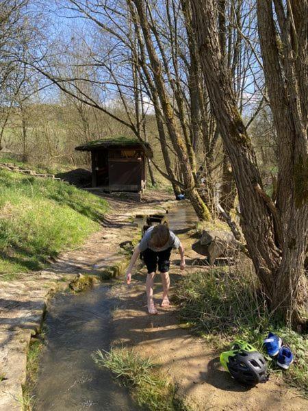 Ferienwohnung Wertevoll Welschbillig Exteriér fotografie